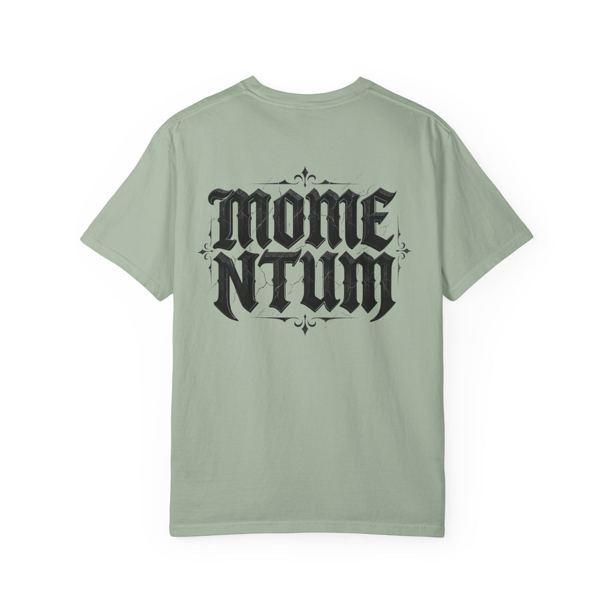 Momentum T-Shirt | Motorcycle Brotherhood Tee | Passed Down Never Slowed Down | Biker Dad Son Gift | Men's Moto Graphic Shirt